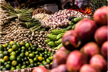 Lorem ipsum dolor sit amet consecteturzzzzzzz. Placerat a imperdiet nequer.